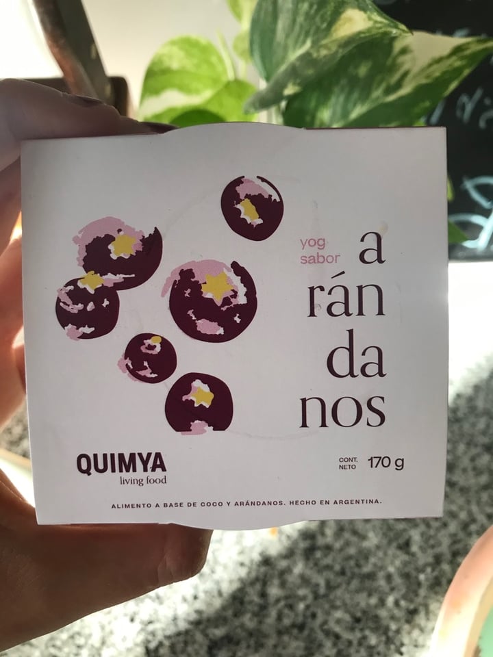 photo of Quimya Yogurt sabor Arándanos shared by @julietaaaaaa on  11 Dec 2019 - review