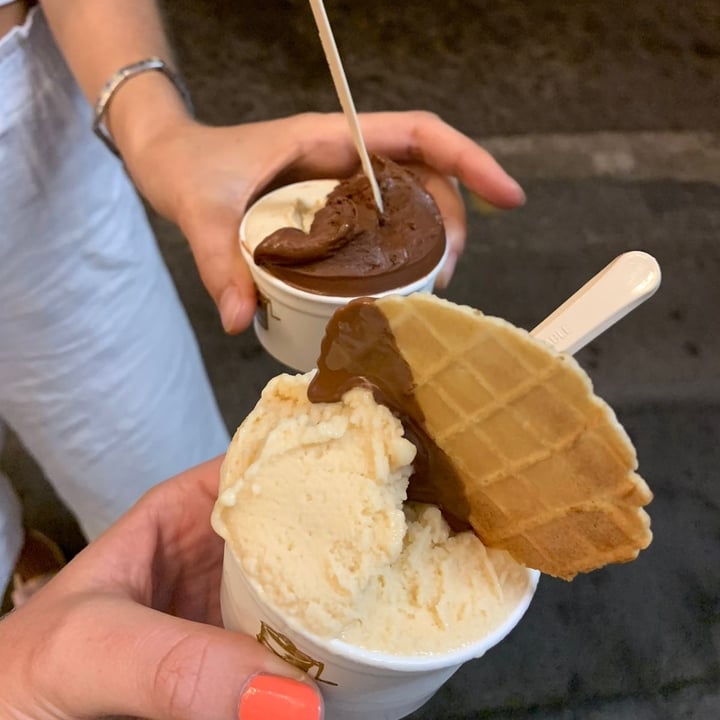photo of Moro Gelato Chocolate and Chai ice cream shared by @semacleod on  03 Jul 2021 - review