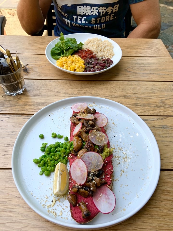 photo of THE BOOTLEGGER COFFEE COMPANY Beetroot Hummus, Avocado, Mushrooms And Dukkah On Toast shared by @chlo17chappell on  17 Feb 2020 - review