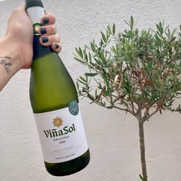 Viñasol