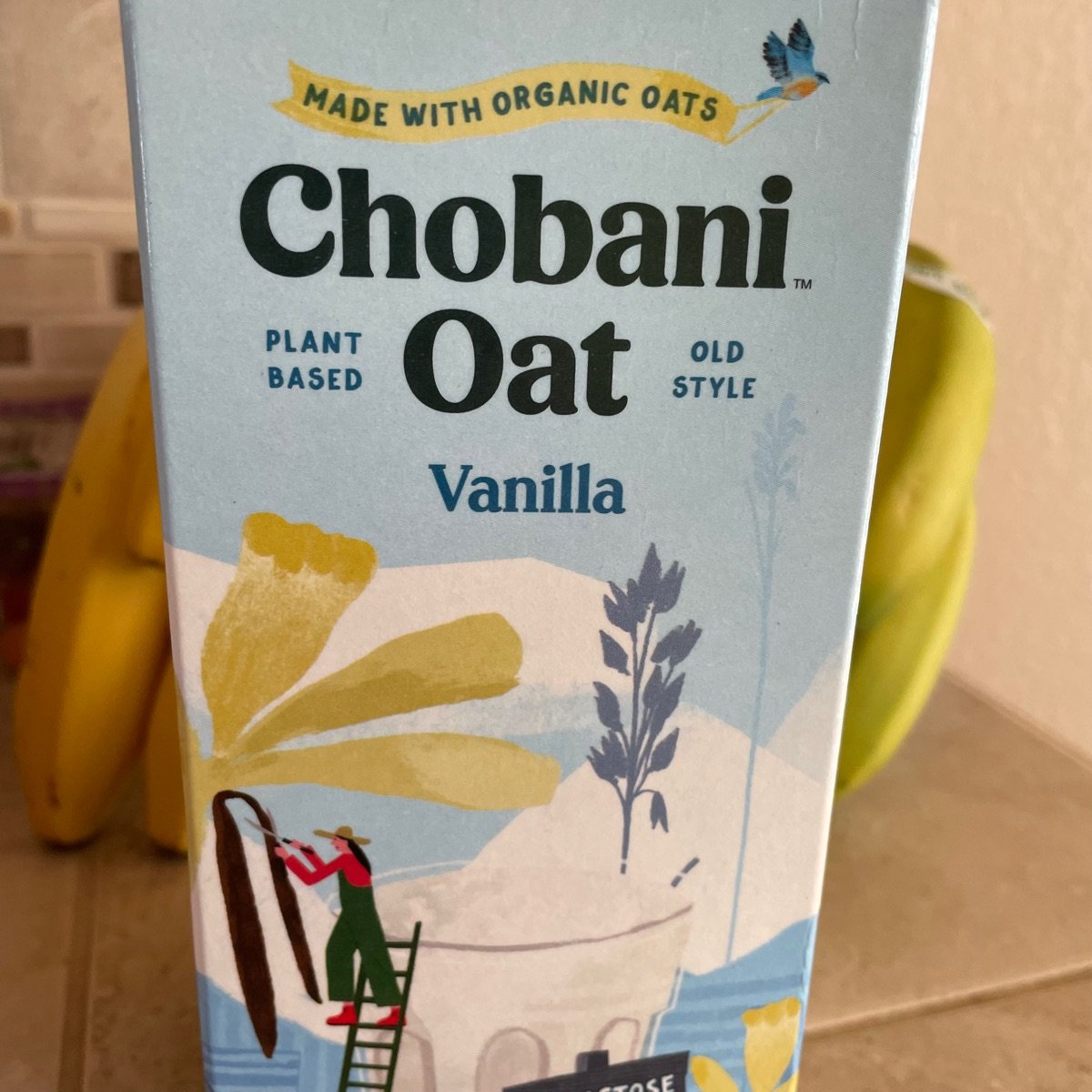 Chobani Oat Milk Vanilla Reviews abillion