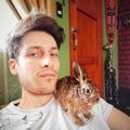 ale1296 @ale1296 profile image