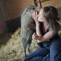 veggievallde @veggievallde profile image