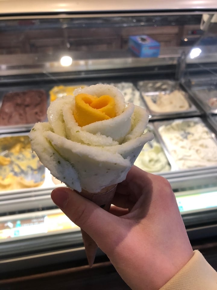 photo of Amorino Theater District Mango and Basil Lime Sorbet shared by @rebeccaentrekin on  28 Dec 2019 - review