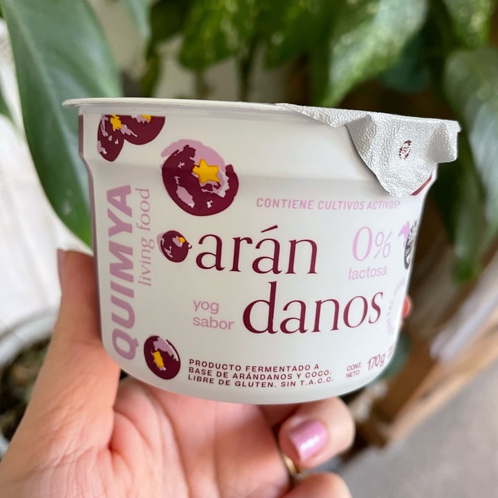 photo of Qymia Yogurt de arándanos shared by @pini2308 on  06 Sep 2022 - review