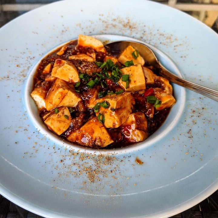 photo of Qi - House of Sichuan Mapo Tofu shared by @shangjing2199 on  17 Jun 2020 - review