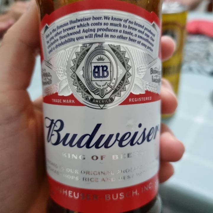 photo of Budweiser Anheuser Bush Budweiser shared by @anakleiner on  19 Jun 2022 - review