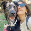 lucianatenti @lucianatenti profile image