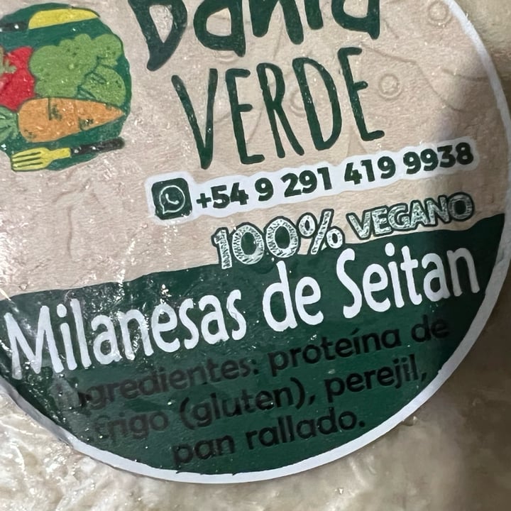 photo of Bahía Verde Milanesas de seitan shared by @mariefl on  12 Jul 2022 - review
