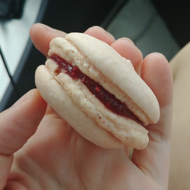菜肴“Raspberry Rose Macaron”的照片