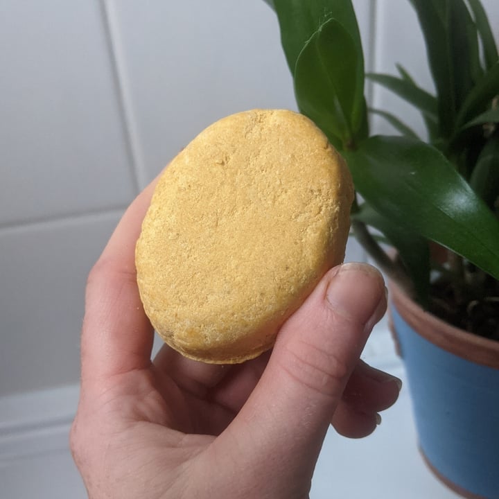 review photo of LUSH Fresh Handmade Cosmetics The Golden Cap Conditioner shared by @amber99 on 17 Aug 2022 - review