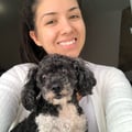 brunavsilveira @brunavsilveira profile image