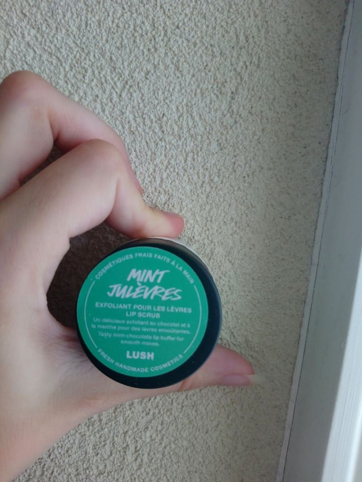 photo of LUSH Fresh Handmade Cosmetics Mint Julips lip scrub shared by @ermeh on  24 Apr 2020 - review