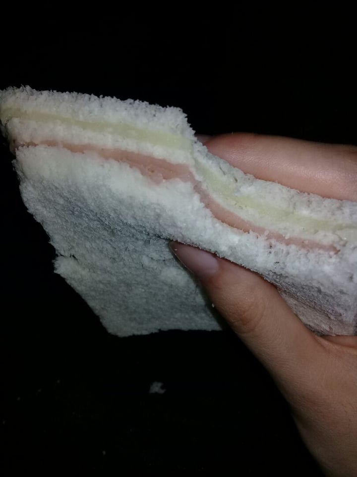 photo of Divina Providencia Sándwiche De Jamón Y Queso Vegano shared by @nefelibata on  25 Dec 2019 - review