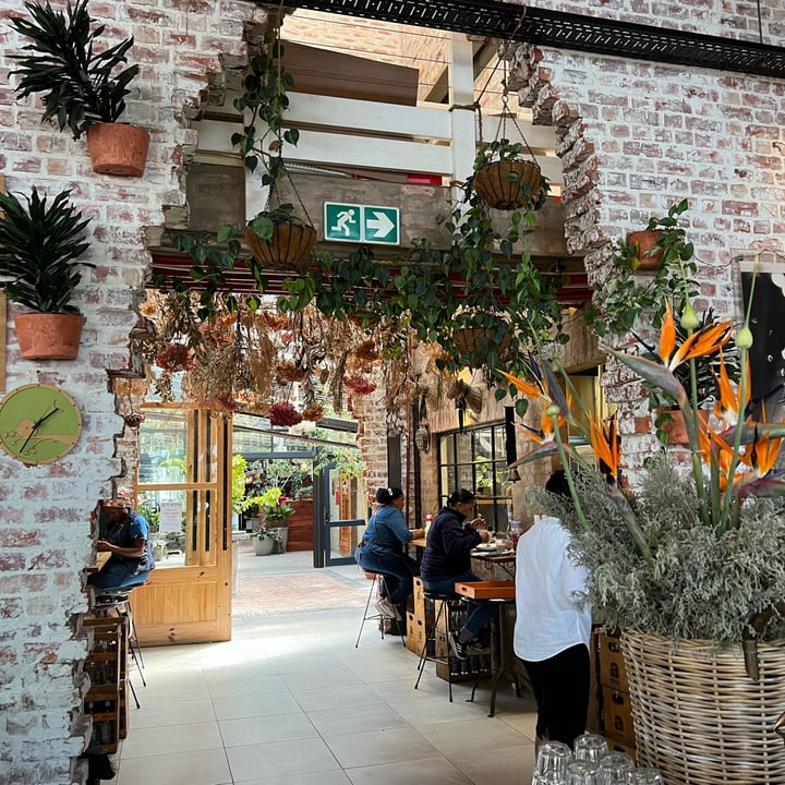 review photo of île de païn - lunch & breakfast restaurant & artisan bakery Mediterranean Tofu Bruschetta shared by @binkyg on 10 Nov 2022 - review
