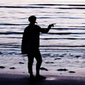schleiereule @schleiereule profile image