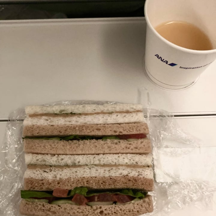 photo of All Nippon Airways (ANA) Inflight Vegan Sandwich shared by @m13 on  15 Jan 2023 - review