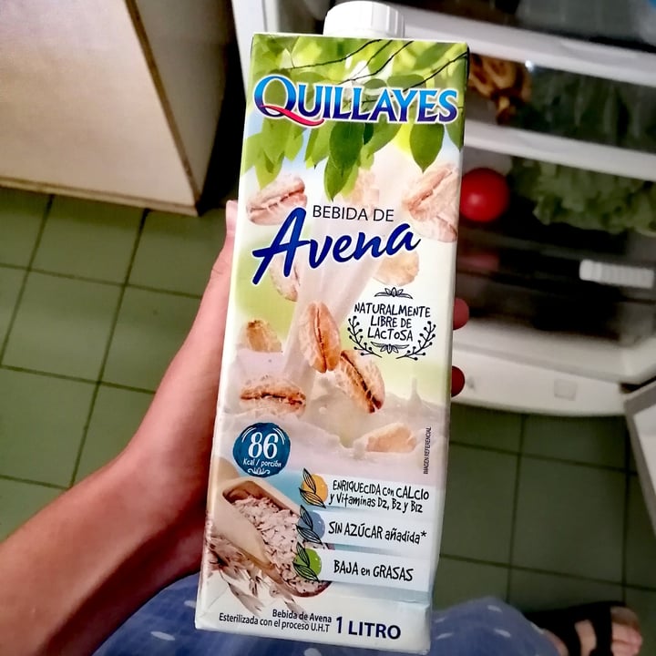 photo of Quillayes Leche Vegetal De Avena shared by @iruarraztiog on  26 Nov 2020 - review