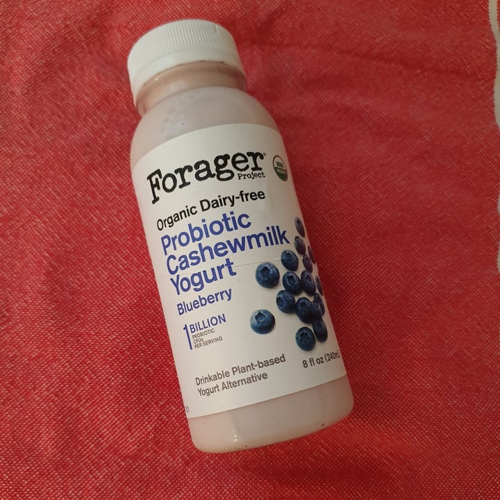 photo of Forager Project Organic Dairy-free Probiotic Cashewmilk Yogurt Blueberry shared by @paniwilson on  29 Nov 2021 - review