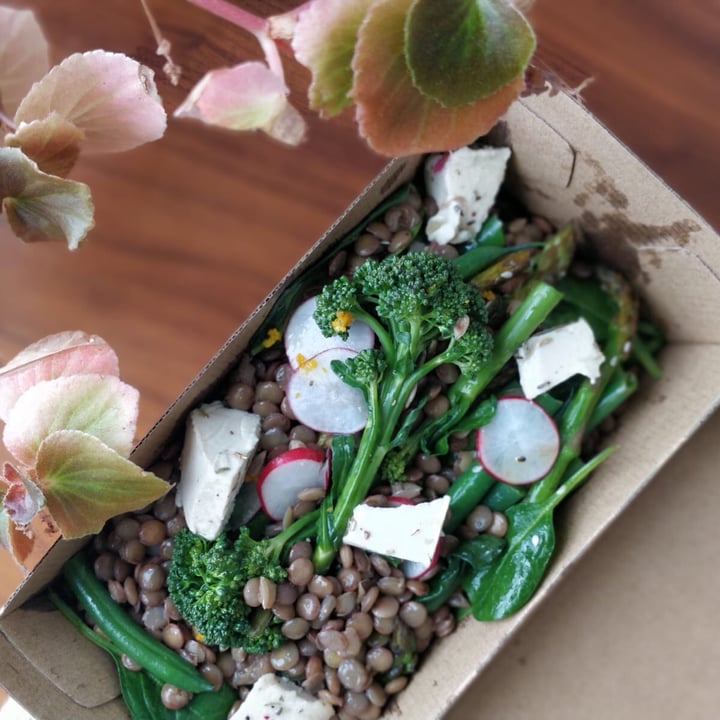 photo of Moon Rabbit Salad Days shared by @reusablenation on  05 Oct 2020 - review