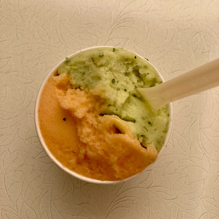 review photo of Gelateria Il Piacere limone e basilico e melone shared by @giuliabarison on 15 Aug 2022 - review