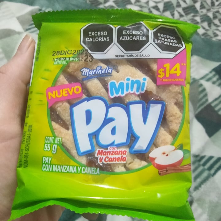 photo of Marinela mini pay de manzana y canela shared by @karlazavala on  26 Nov 2022 - review