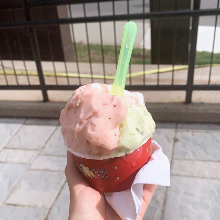 review photo of Stella Luna Gelato Cafe Assorted Sorbet shared by @valboileau on 02 Sep 2020 - review