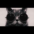 gigei @gigei profile image
