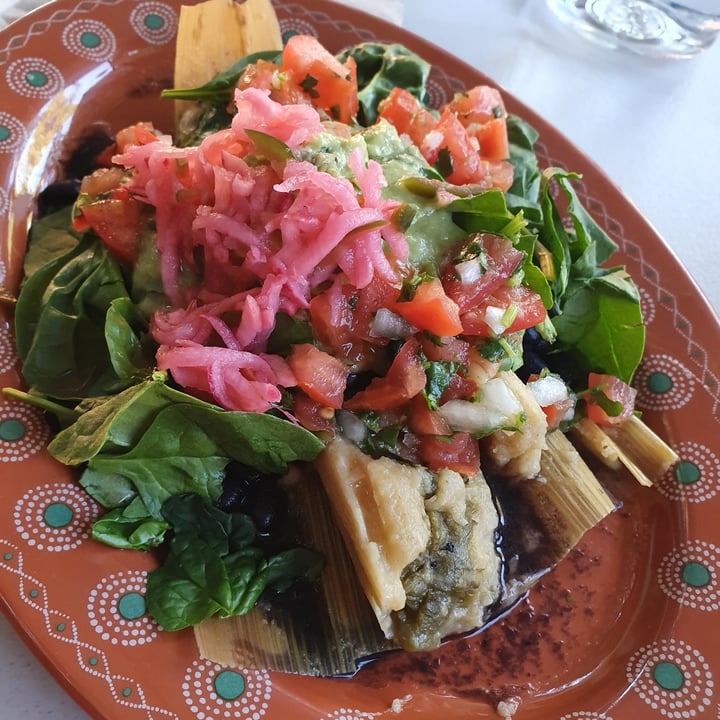 photo of Tamaliza Vegan Tamale Supreme shared by @anistavrou on  02 Jun 2020 - review