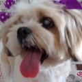 claumilano @claumilano profile image