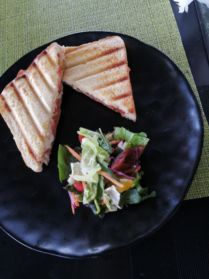 photo of Asher's Corner Cafe @ Ashers Farm Sanctuary Toasted Cheese with Added Tomato and Onion shared by @jessipambee on  09 Dec 2019 - review