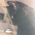 enri85 @enri85 profile image