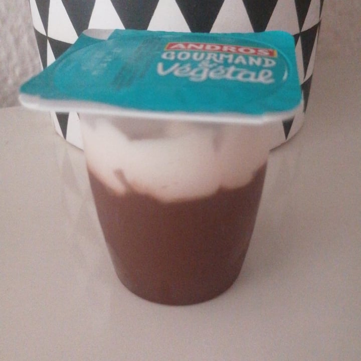 photo of Andros Gourmand végétal au lait de coco Mousse Au Chocolat shared by @noun on  17 Aug 2022 - review