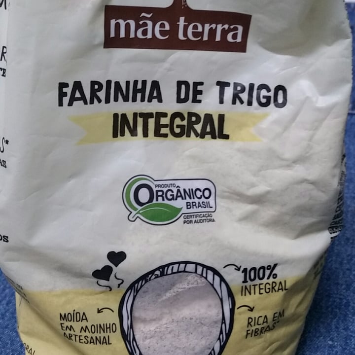 photo of Mãe Terra Farinha de trigo integral shared by @michelleciascavegan on  25 Oct 2021 - review