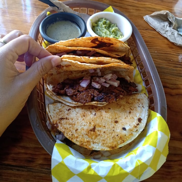 photo of crush restaurante merida Tacos de Virria shared by @davidsardineta on  22 Oct 2022 - review