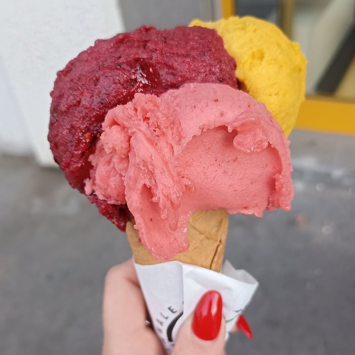 photo of Valedi Gelateria Artigianale Gelato Artigianale shared by @eleonorazarroli on  11 Jun 2022 - review