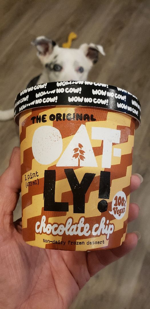 photo of Oatly Chocolate Chip shared by @ambularfortheanimals on  28 Oct 2019 - review