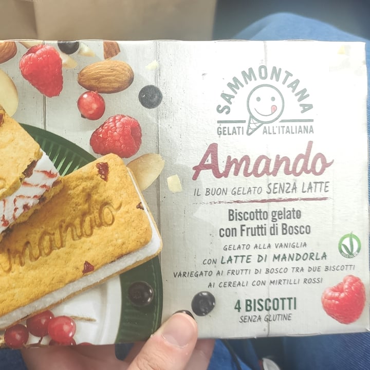 photo of Sammontana Amando biscotti gelato alla vaniglia variegato ai frutti di bosco shared by @sereseriveg on  01 Jun 2022 - review