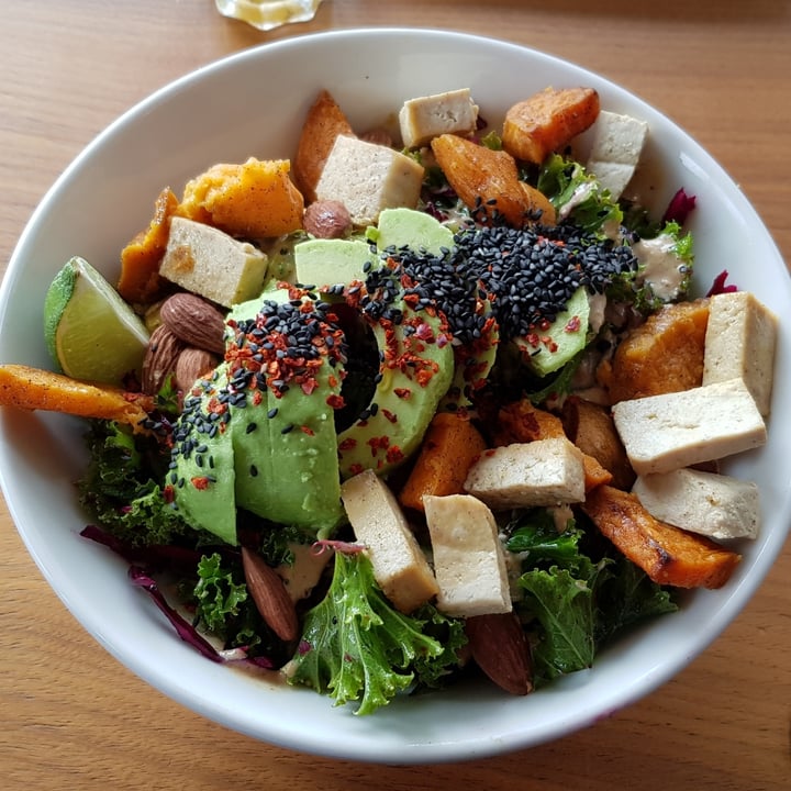 review photo of Wagners – Juicery & Health Food Mana Bowl shared by @-a-n-d-r-e-a- on 15 Aug 2020 - review