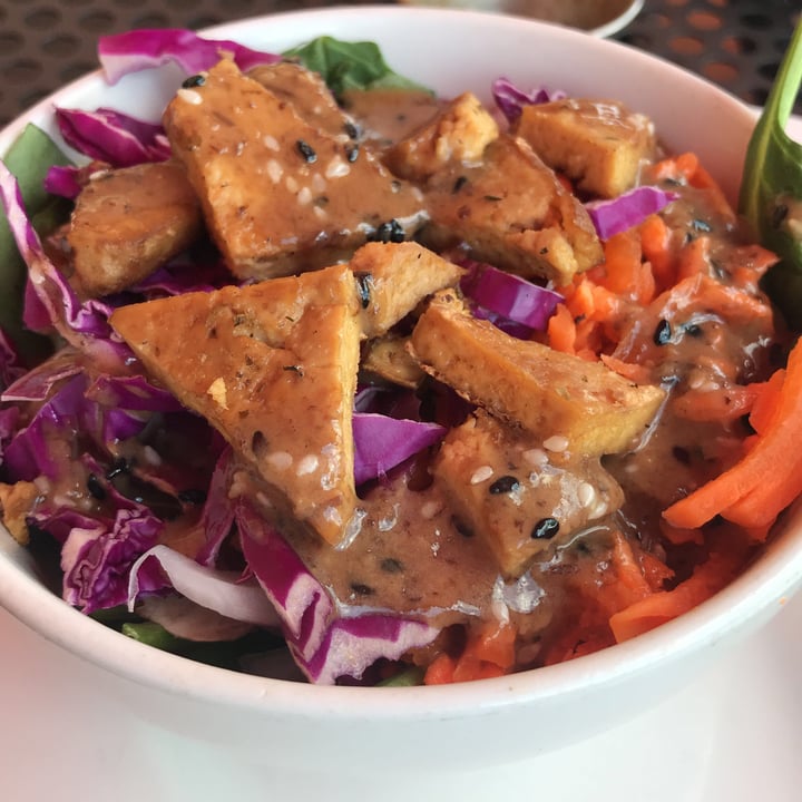 photo of The Tomato Head Tofu Salad shared by @jennablue on  20 Jun 2018 - review