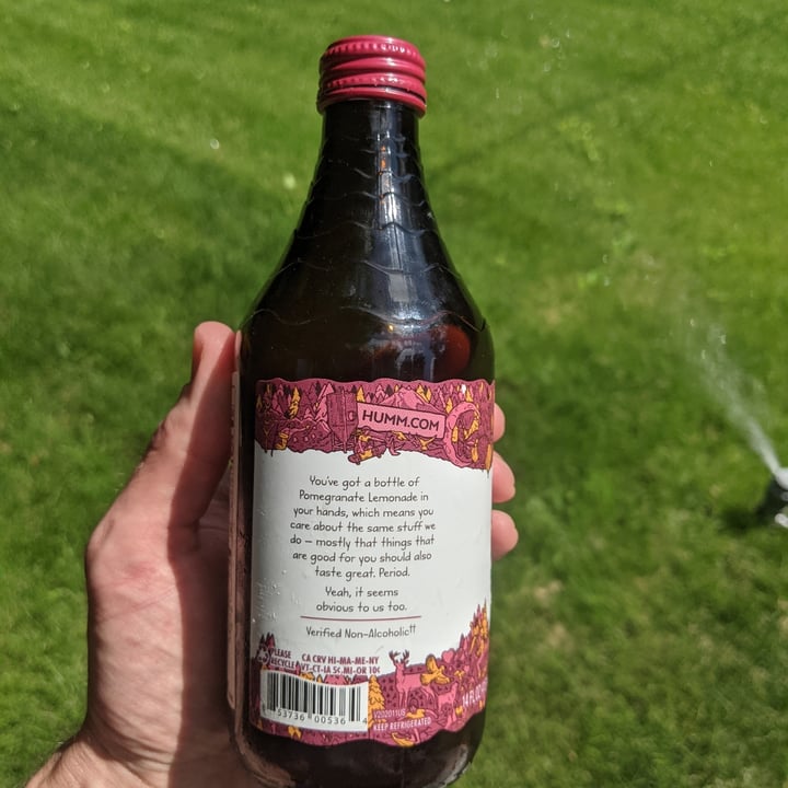 review photo of Humm Kombucha Pomegranate Lemonade Kombucha shared by @mikewestcott on 13 Jun 2021 - review
