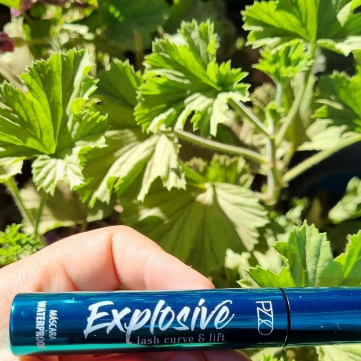 review photo of Petrizzio Máscara De Pestañas Explosive shared by @bvrbislot on 17 Apr 2022 - review