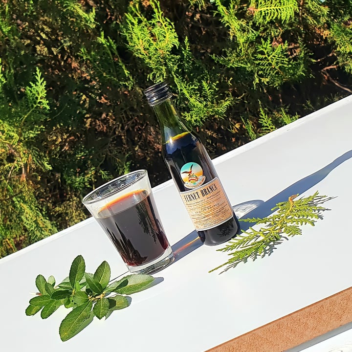 photo of Fernet Branca Fernet Branca shared by @angelinapizzolatto13 on  24 Dec 2020 - review
