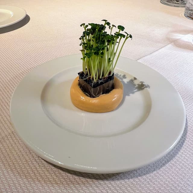 Photo of the dish “Germogli”