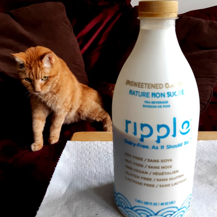 photo of Ripple Foods Unsweetened Original Plant-Based Milk shared by @hbchic on  28 Feb 2021 - review
