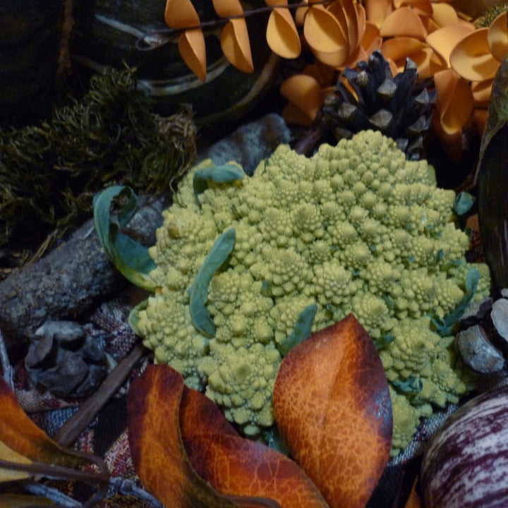 photo of Iperal Broccolo Romanesco shared by @toorquoise on  29 Sep 2022 - review