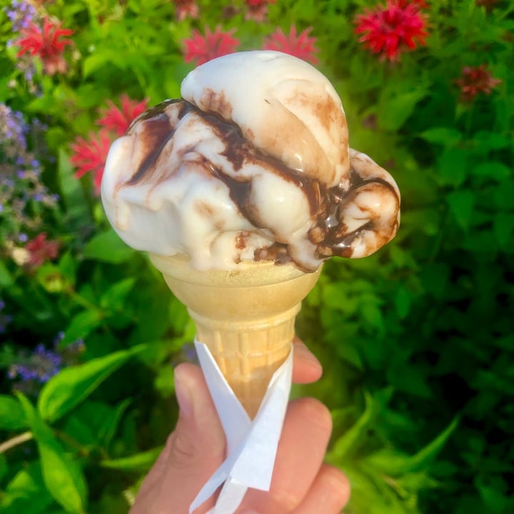 photo of CJ's Big Dipper Almondmilk Vanilla Fudge Ice-Cream shared by @garen7 on  07 Jul 2021 - review