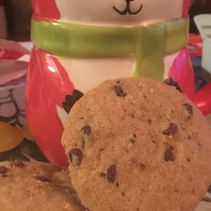 photo of Enjoy Life Crunchy Cookies Chocolate Chip shared by @skeeter on  27 Dec 2020 - review
