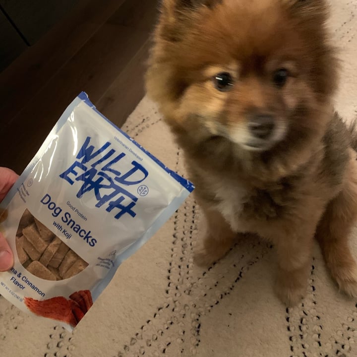 photo of Wild Earth Superfood Dog Treats With Koji  shared by @jazzwall on  24 Jun 2020 - review