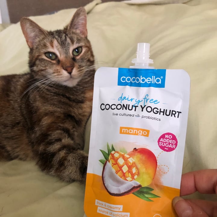 photo of Cocobella Cocobella dairy free coconut yogurt-Mango shared by @ronirios on  30 Nov 2020 - review